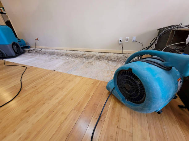 Professional Flood Damage Cleanup technician working in Rushford, MN